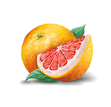 Grapefruit